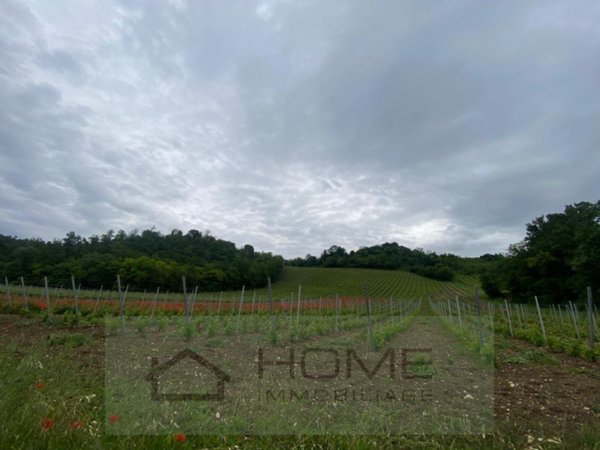 terreno in vendita ad Albettone