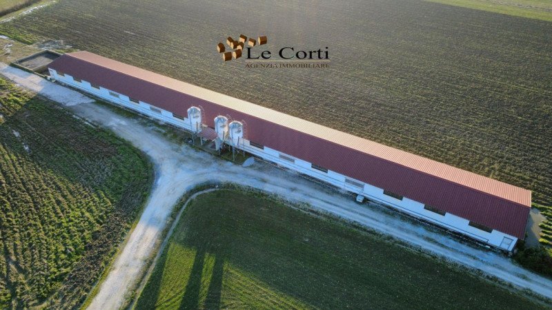 capannone in vendita ad Albettone