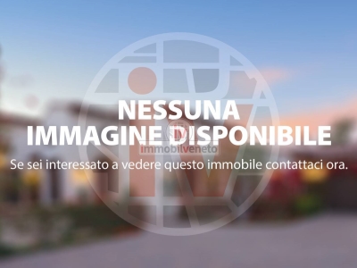 capannone in vendita ad Alonte