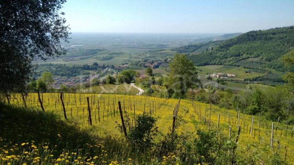casa indipendente in vendita ad Alonte