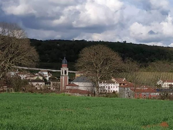 terreno agricolo in vendita ad Alonte
