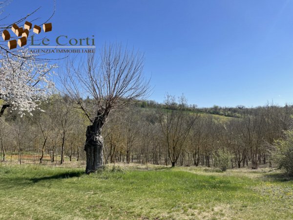 appartamento in vendita ad Alonte