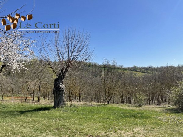 appartamento in vendita ad Alonte