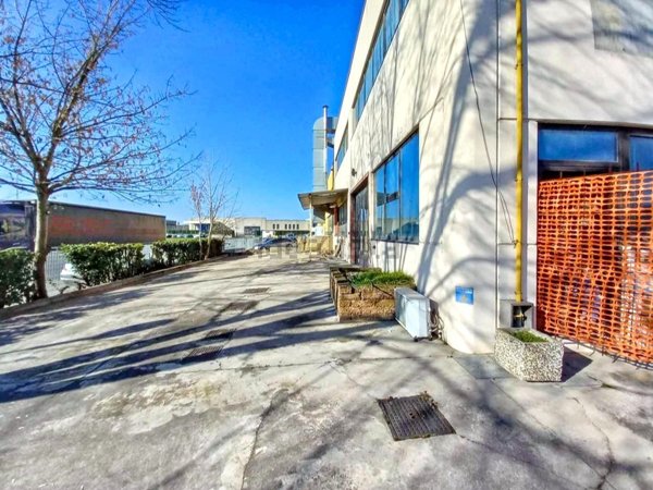 capannone in vendita ad Alonte