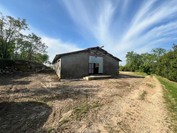 capannone in vendita ad Alonte