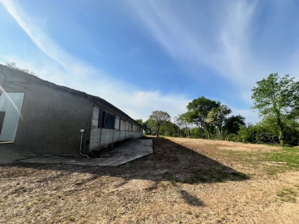 capannone in vendita ad Alonte