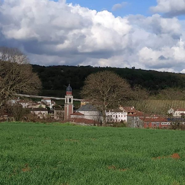 casa indipendente in vendita ad Alonte