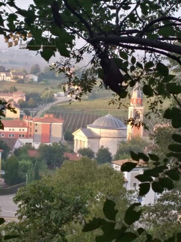 casa indipendente in vendita ad Alonte