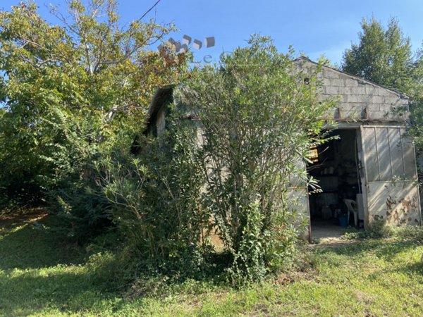 casa indipendente in vendita ad Alonte