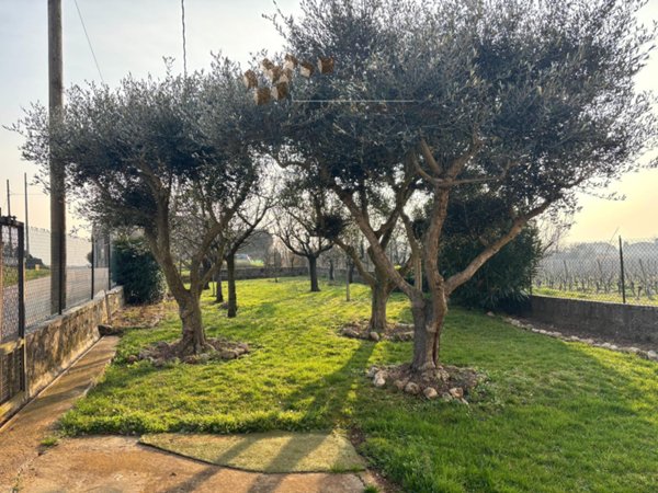 villetta a schiera in vendita ad Alonte