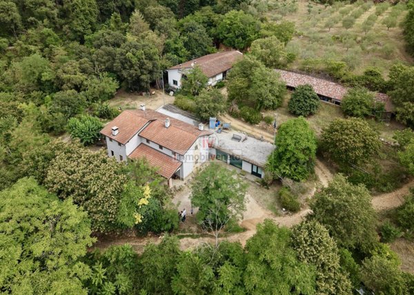 casa indipendente in vendita ad Alonte