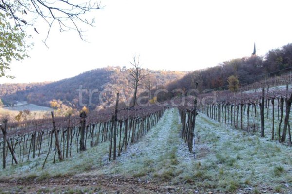 terreno agricolo in vendita ad Altavilla Vicentina