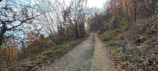 terreno agricolo in vendita ad Altavilla Vicentina in zona Valmarana