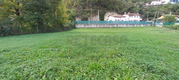 immagine annuncio 0 di 1