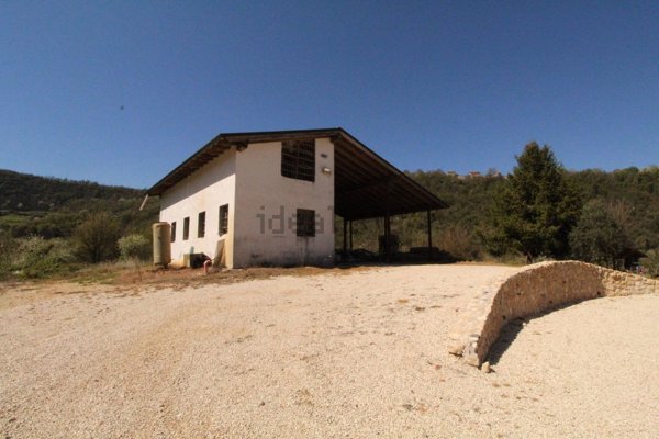 quadrivano in vendita ad Altavilla Vicentina in zona Valmarana
