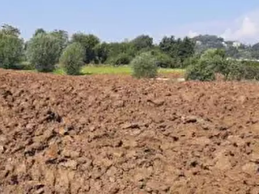 terreno edificabile in vendita ad Altavilla Vicentina