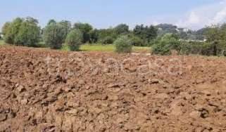 terreno agricolo in vendita ad Altavilla Vicentina