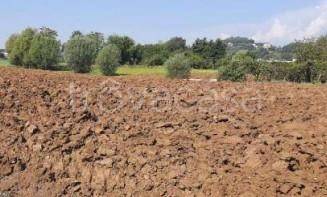 terreno agricolo in vendita ad Altavilla Vicentina
