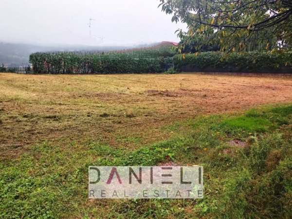 terreno agricolo in vendita ad Altavilla Vicentina