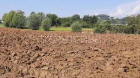 terreno agricolo in vendita ad Altavilla Vicentina
