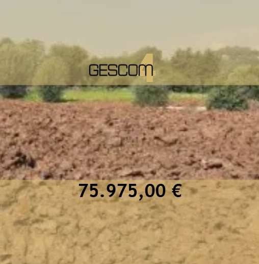 terreno agricolo in vendita ad Altavilla Vicentina