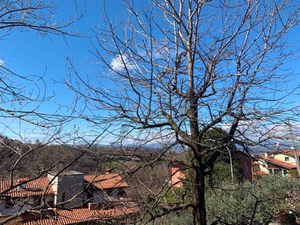 casa indipendente in vendita ad Arcugnano