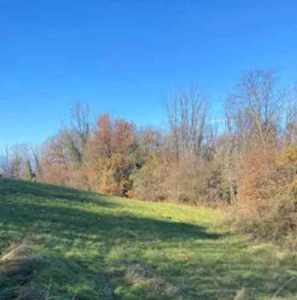 terreno agricolo in vendita ad Arcugnano