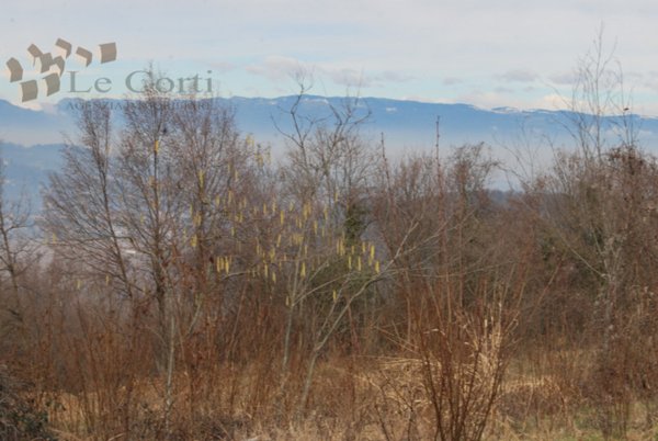 terreno agricolo in vendita ad Arcugnano