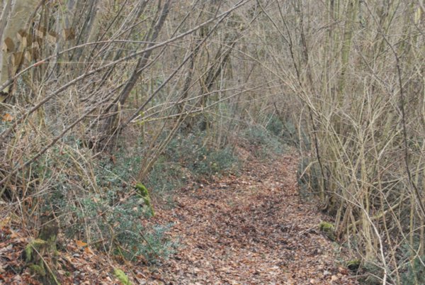 terreno agricolo in vendita ad Arcugnano