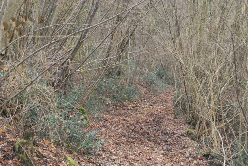 terreno agricolo in vendita ad Arcugnano