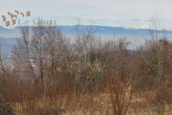 terreno agricolo in vendita ad Arcugnano