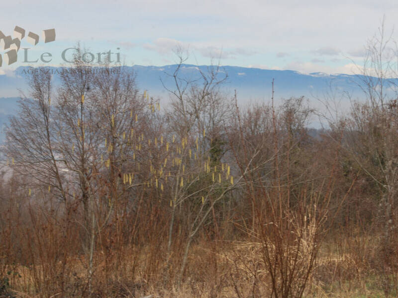 terreno agricolo in vendita ad Arcugnano