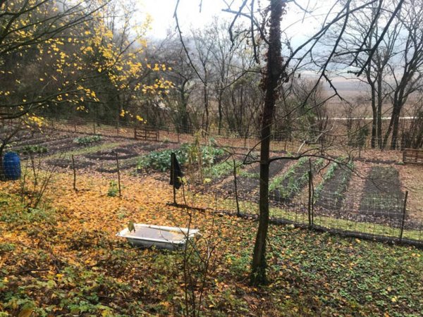terreno agricolo in vendita ad Arcugnano