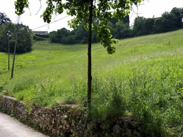 terreno agricolo in vendita ad Arcugnano