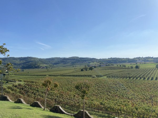 casa indipendente in vendita ad Arcugnano