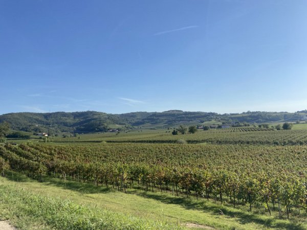 casa indipendente in vendita ad Arcugnano