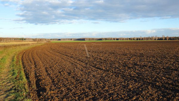 terreno edificabile in vendita ad Arcugnano in zona Arcugnano