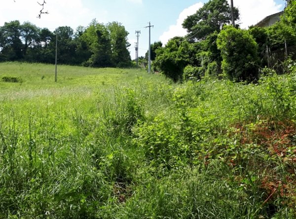 terreno in vendita ad Arcugnano in zona Arcugnano