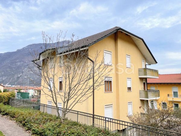 immagine annuncio 0 di 1