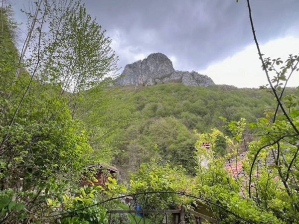 casa indipendente in vendita ad Arsiero