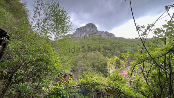 casa indipendente in vendita ad Arsiero