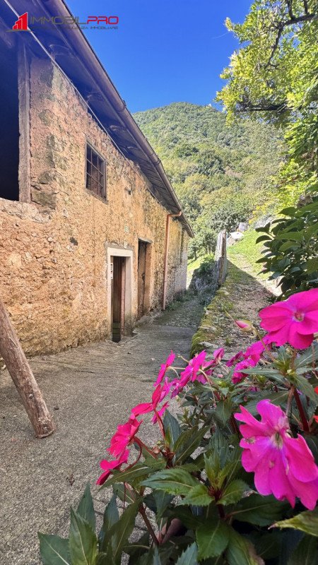 casa indipendente in vendita ad Arsiero