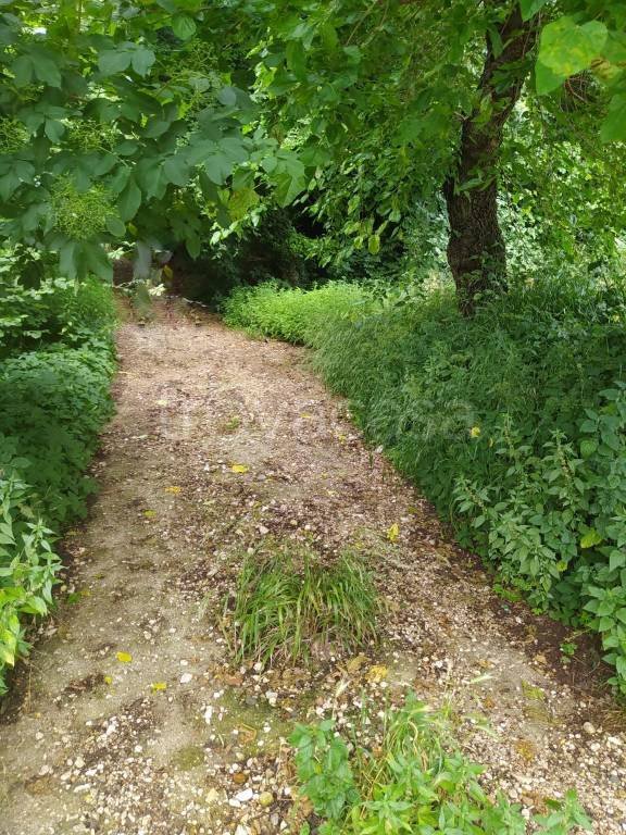 terreno agricolo in vendita ad Arzignano