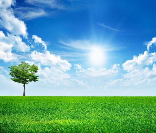 casa indipendente in vendita ad Arzignano