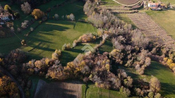 terreno agricolo in vendita ad Arzignano in zona San Bortolo