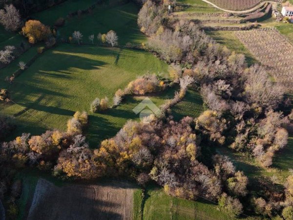 terreno agricolo in vendita ad Arzignano in zona San Bortolo