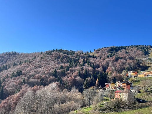 casa indipendente in vendita ad Asiago in zona Sasso