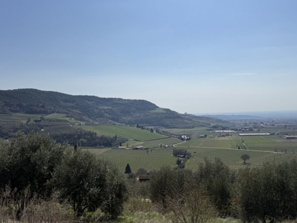 appartamento in vendita ad Asiago