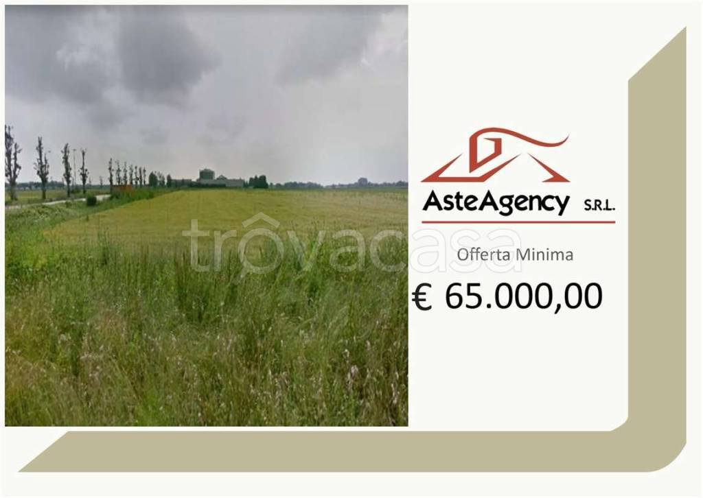 terreno agricolo in vendita ad Asigliano Veneto