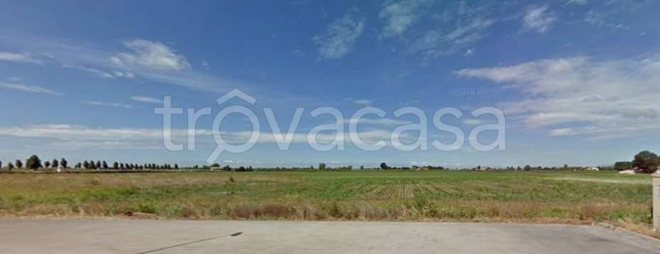 monolocale in vendita ad Asigliano Veneto